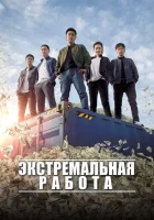 Экстремальная работа смотреть онлайн (2019)