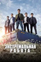 Экстремальная работа смотреть онлайн (2019)