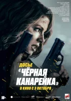 Досье «Чёрная канарейка» смотреть онлайн (2024)